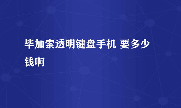 毕加索透明键盘手机 要多少钱啊