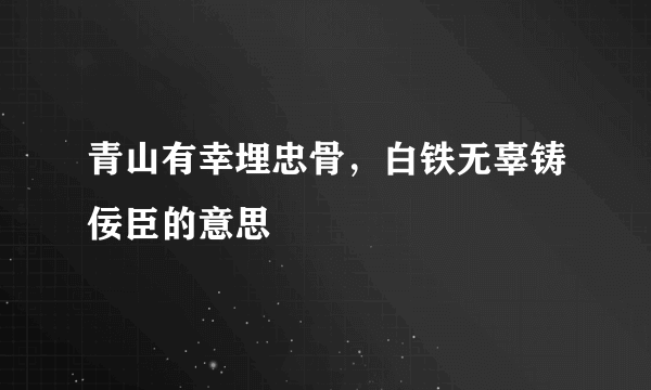 青山有幸埋忠骨，白铁无辜铸佞臣的意思