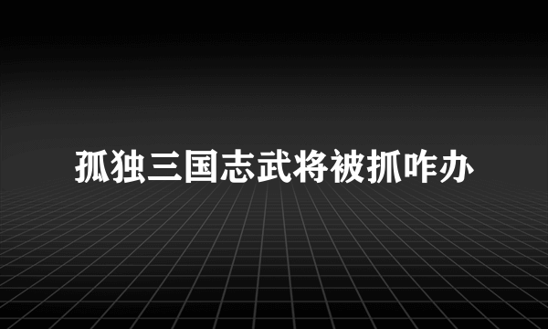 孤独三国志武将被抓咋办