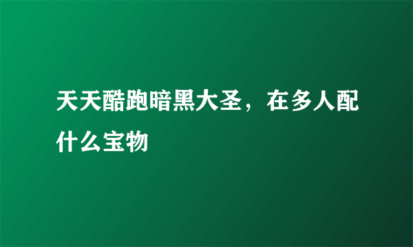 天天酷跑暗黑大圣，在多人配什么宝物