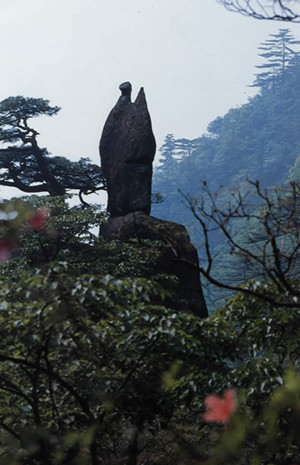 黄山有哪些奇形怪状的石头？