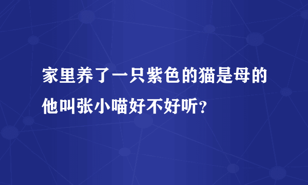 家里养了一只紫色的猫是母的他叫张小喵好不好听？