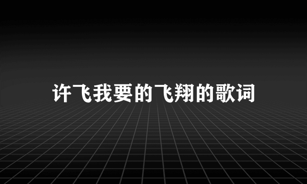 许飞我要的飞翔的歌词