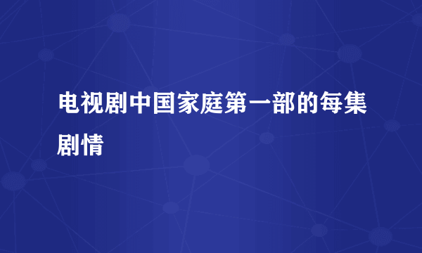 电视剧中国家庭第一部的每集剧情