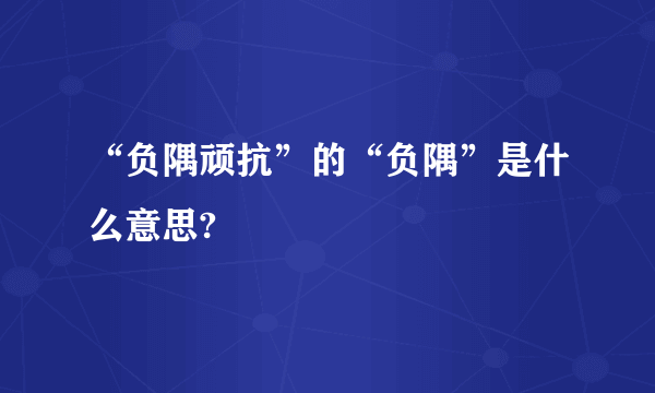 “负隅顽抗”的“负隅”是什么意思?