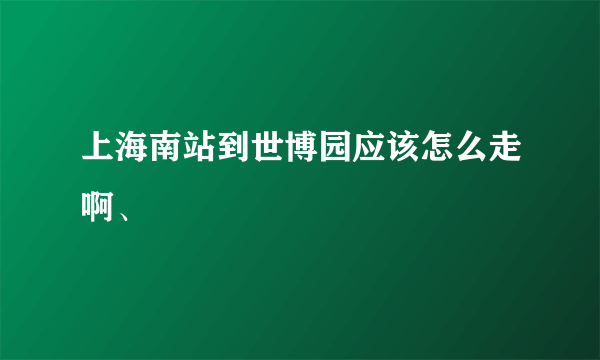 上海南站到世博园应该怎么走啊、