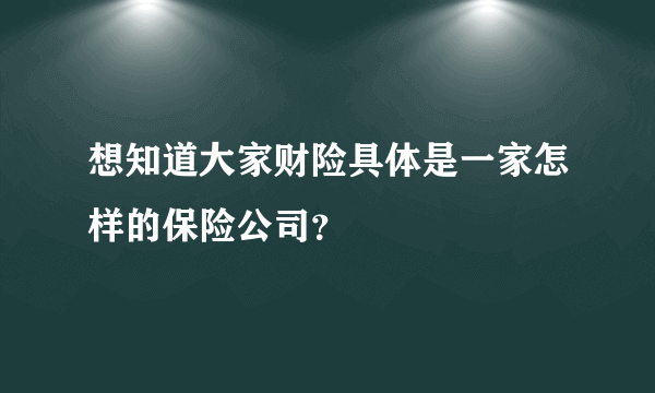 想知道大家财险具体是一家怎样的保险公司？