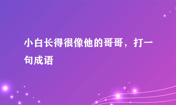 小白长得很像他的哥哥，打一句成语