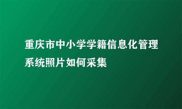 重庆市中小学学籍信息化管理系统照片如何采集