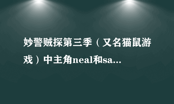 妙警贼探第三季（又名猫鼠游戏）中主角neal和sara为什么分手