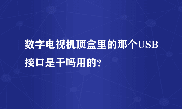 数字电视机顶盒里的那个USB接口是干吗用的？