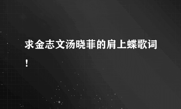 求金志文汤晓菲的肩上蝶歌词！