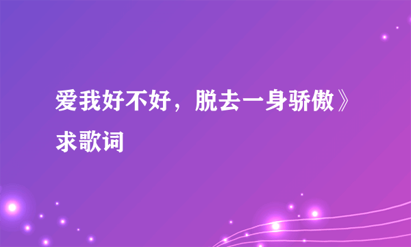 爱我好不好，脱去一身骄傲》求歌词