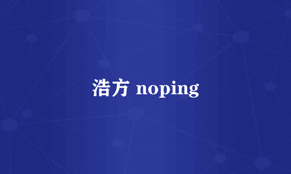 浩方 noping