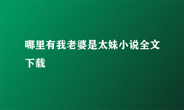 哪里有我老婆是太妹小说全文下载