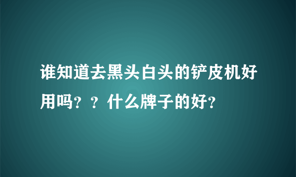 谁知道去黑头白头的铲皮机好用吗？？什么牌子的好？