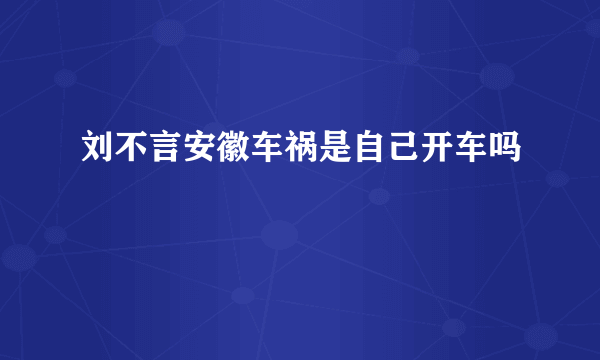 刘不言安徽车祸是自己开车吗