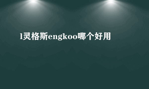 l灵格斯engkoo哪个好用