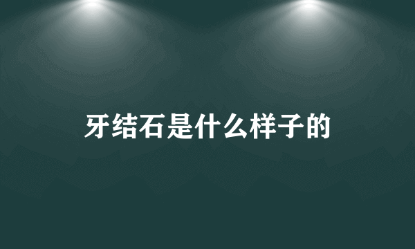 牙结石是什么样子的