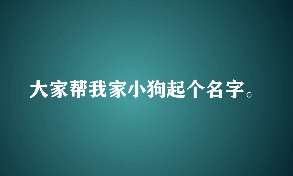 大家帮我家小狗起个名字。