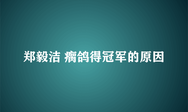 郑毅洁 瘸鸽得冠军的原因