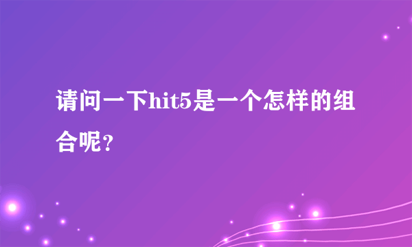 请问一下hit5是一个怎样的组合呢？