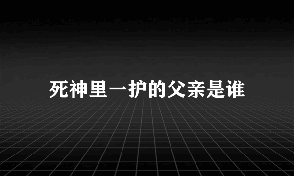 死神里一护的父亲是谁