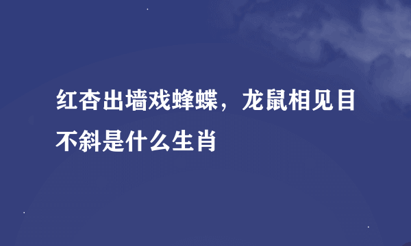 红杏出墙戏蜂蝶，龙鼠相见目不斜是什么生肖