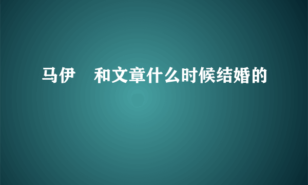 马伊琍和文章什么时候结婚的