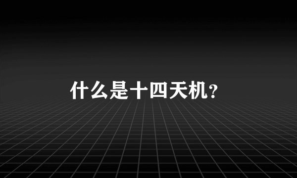 什么是十四天机？