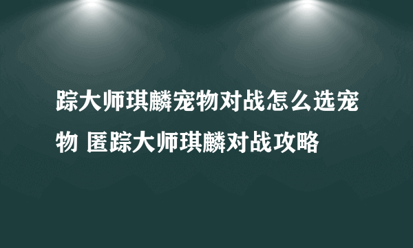 踪大师琪麟宠物对战怎么选宠物 匿踪大师琪麟对战攻略