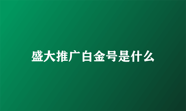 盛大推广白金号是什么