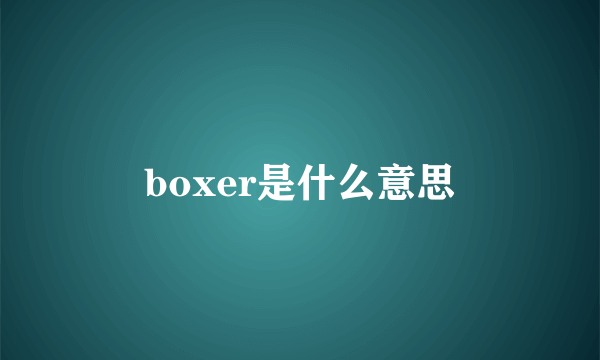 boxer是什么意思