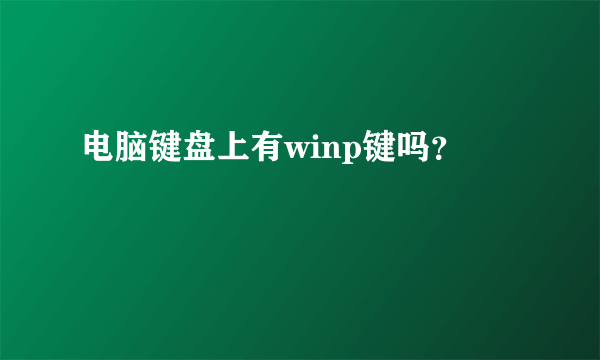 电脑键盘上有winp键吗？