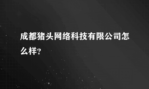 成都猪头网络科技有限公司怎么样？