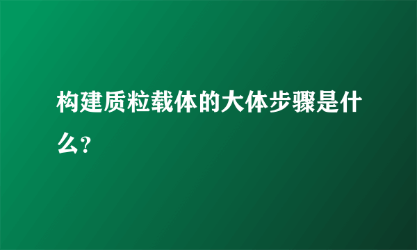 构建质粒载体的大体步骤是什么？