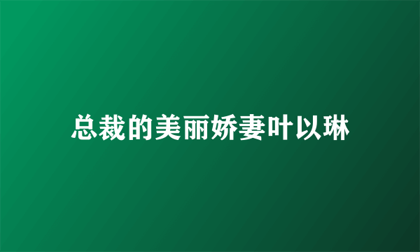 总裁的美丽娇妻叶以琳