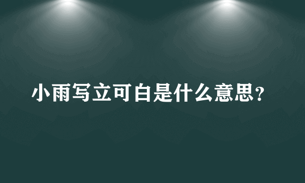 小雨写立可白是什么意思？