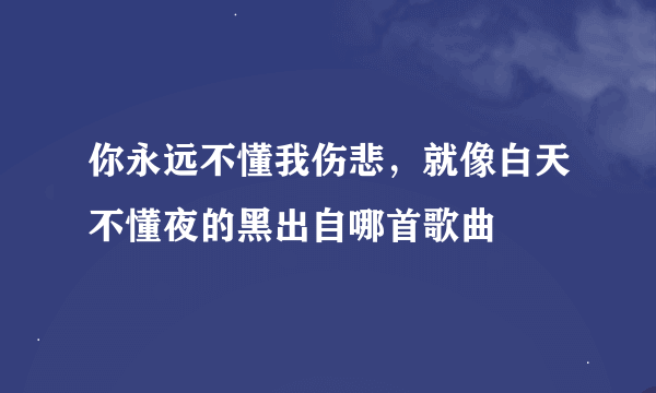 你永远不懂我伤悲，就像白天不懂夜的黑出自哪首歌曲