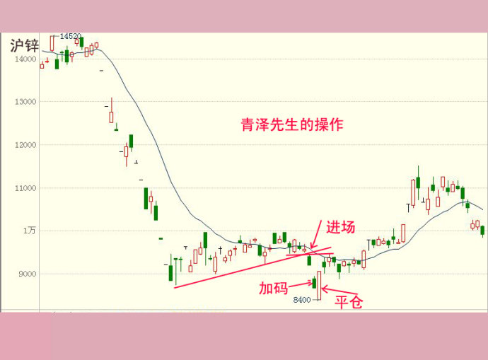 青泽的简介