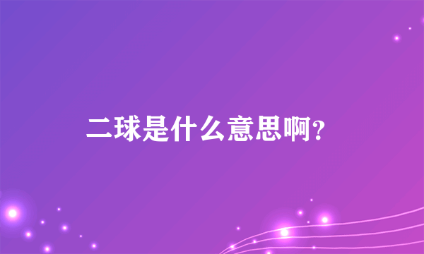 二球是什么意思啊？