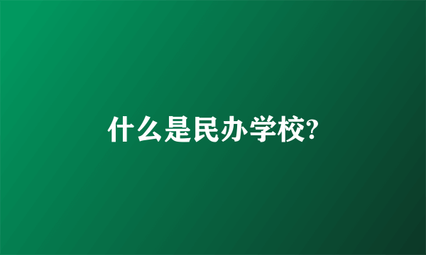 什么是民办学校?