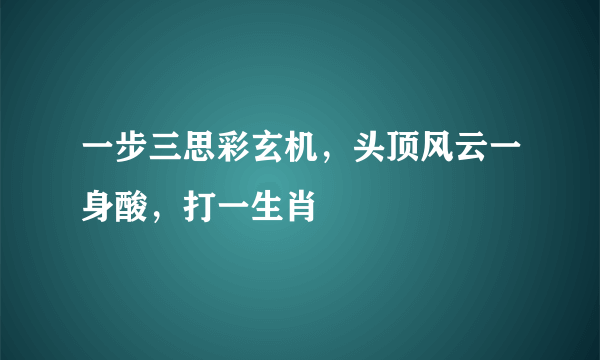 一步三思彩玄机，头顶风云一身酸，打一生肖