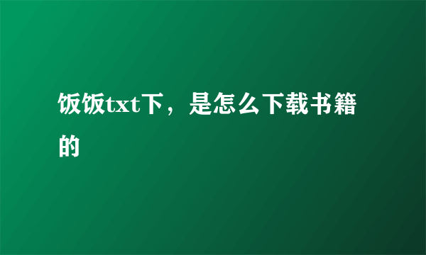 饭饭txt下，是怎么下载书籍的