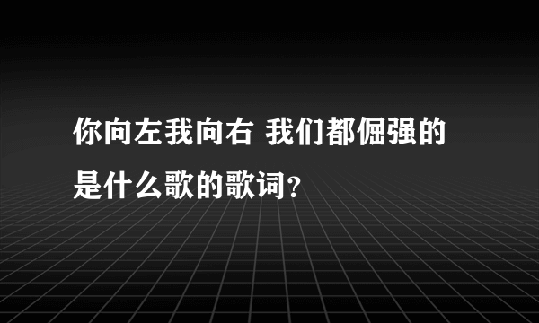 你向左我向右 我们都倔强的是什么歌的歌词？