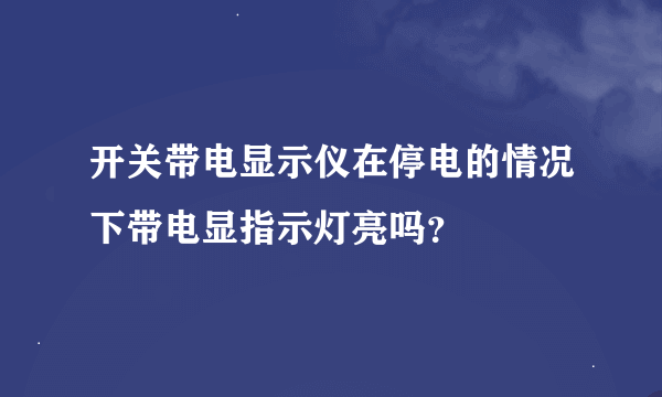 开关带电显示仪在停电的情况下带电显指示灯亮吗？