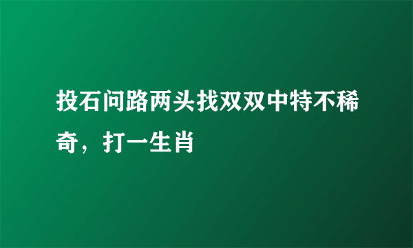 投石问路两头找双双中特不稀奇，打一生肖