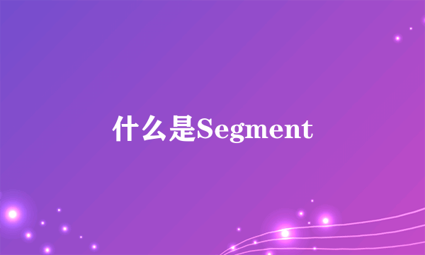 什么是Segment