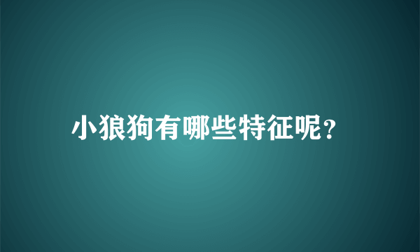 小狼狗有哪些特征呢？