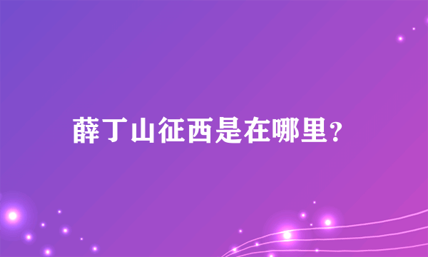 薛丁山征西是在哪里？